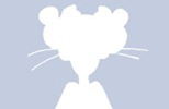 Facebook-Profile-Pictures-Pinkpanther
