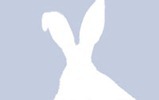 Facebook-Profile-Pictures-Rabbit