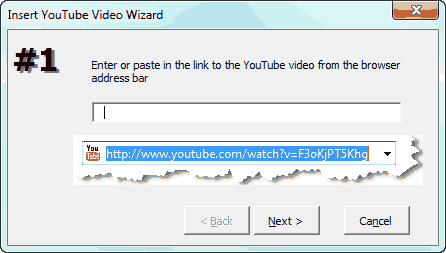 Paste-The-YouTube-URL